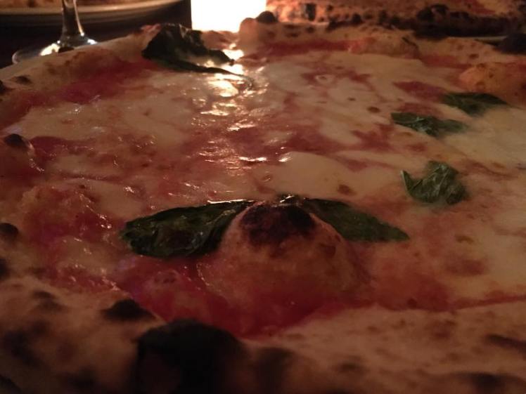 14725653_1855751991313742_2660641035807056213_n